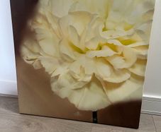 Large flower canvas