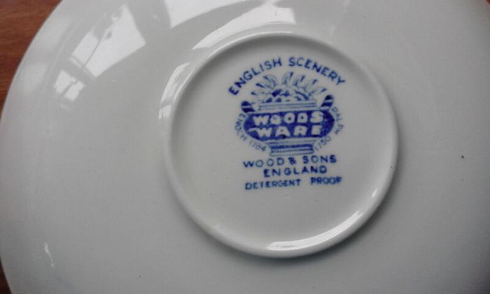 Vintage Woods Ware English Scenery cup and saucer