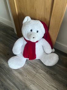 large teddy