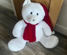 large teddy