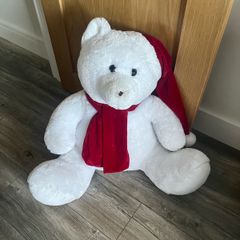 large teddy