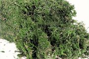 300g Artificial Moss - 10.6 Ounce Floral Decorative Fake Fresh Green Moss for Potted Plant Centerpieces, Terrariums, Decor, Life-Like Garden Lawn Grass