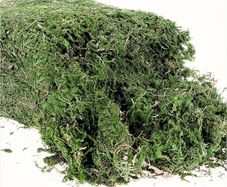 300g Artificial Moss - 10.6 Ounce Floral Decorative Fake Fresh Green Moss for Potted Plant Centerpieces, Terrariums, Decor, Life-Like Garden Lawn Grass