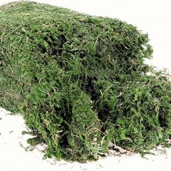 300g Artificial Moss - 10.6 Ounce Floral Decorative Fake Fresh Green Moss for Potted Plant Centerpieces, Terrariums, Decor, Life-Like Garden Lawn Grass