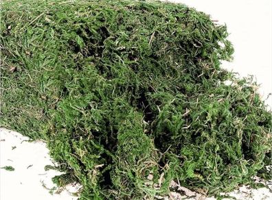 300g Artificial Moss - 10.6 Ounce Floral Decorative Fake Fresh Green Moss for Potted Plant Centerpieces, Terrariums, Decor, Life-Like Garden Lawn Grass