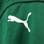 Ireland Rugby Jersey. Season 2009-2011. Official Puma Mens Home Jersey. Authentic Original From 2009. Not A Modern Day Remake. Image 4