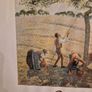 Apple Harvest by Pissarro framed print Image 3