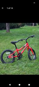 Ridgeback MX16