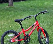 Ridgeback MX16