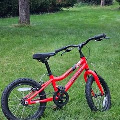 Ridgeback MX16