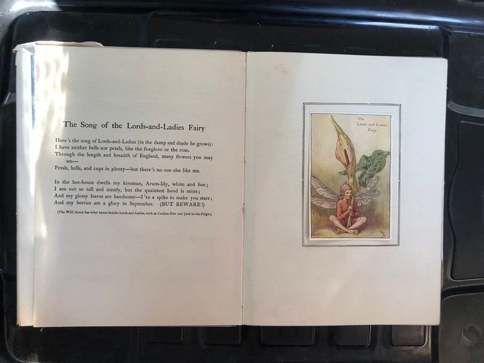 Antique Book Spring Songs with Music from "Flower Fairies of the Spring"