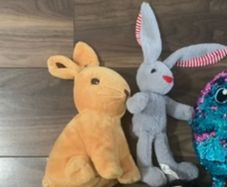 Bunnies Soft Toy