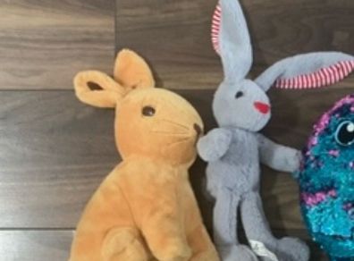 Bunnies Soft Toy