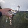 large brass animals Image 7