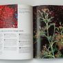 "Garden Colour: Choosing Stunning Colour Combinations for Your Garden" by Sue Fisher  hardback 2003 Image 5