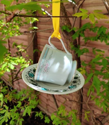 Bird feeder