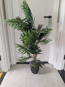 Fake Plant