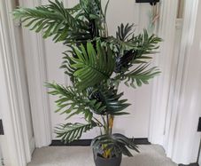 Fake Plant