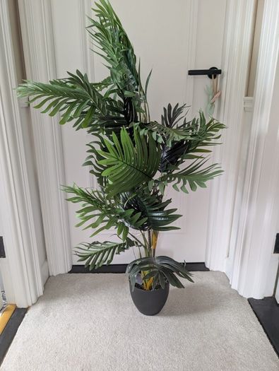 Fake Plant