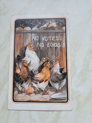 postcard suffragetts