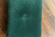 Green velvet cushion