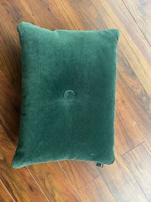 Green velvet cushion