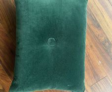 Green velvet cushion