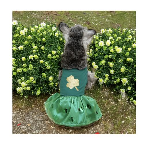 Dog Dress