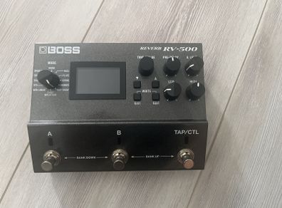 Boss RV-500