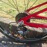 Red Carrera Saruna Junior Hybrid Bike 24 inch Wheels Image 3