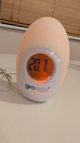 Grow Egg room Thermometer