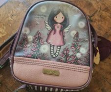 ladies bag