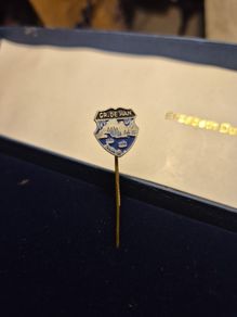 Vintage Pin