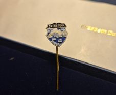 Vintage Pin