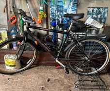 Raleigh Max Mountain Bike