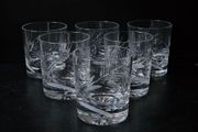 Set of 6 Luxurious Whiskey Tumblers