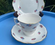 Colclough trio