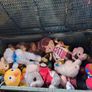 soft toy Image 4