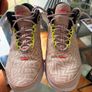 LeBron Nike NXXT Genisus Image 2