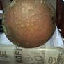Large Antique Copper Bucket or Jardiniere, Postage Available or Collection, Image 7
