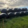Round bales of silage Image 2