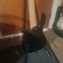 westfield electric bass Image 6