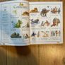First Bible Story Book Image 4