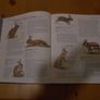 Encyclopedia Of Animals Image 2