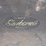Sherborne Image 7