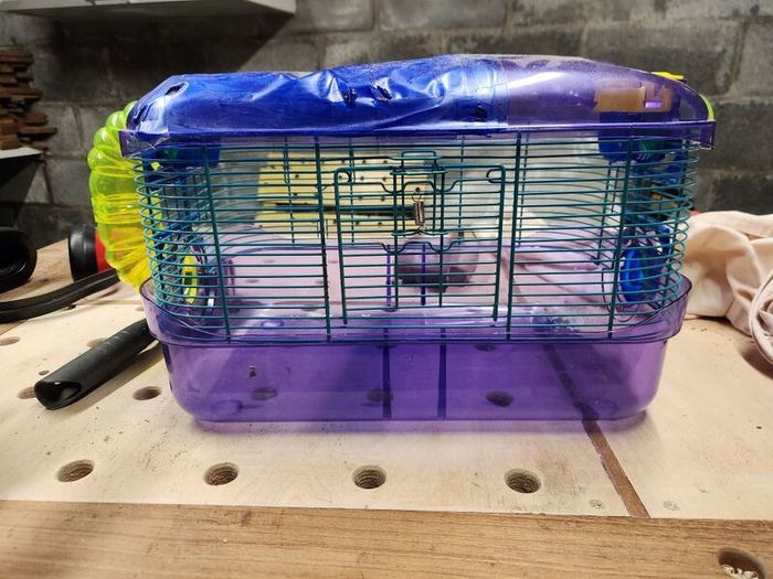 Gerbil home with cage and bedding area;  carrying cage also included