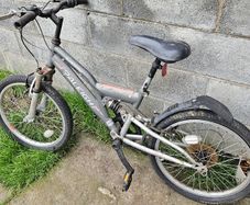 Raleigh Bike