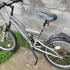 Raleigh Bike