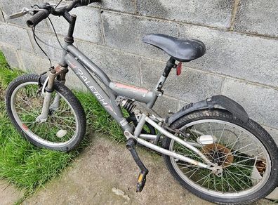 Raleigh Bike