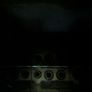 Fish Image 5